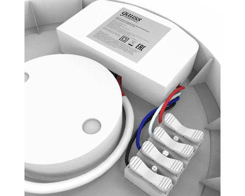 Оформить заказ Пылевлагозащищенный светильник Gauss 126411218A| VIVID-LIGHT.RU