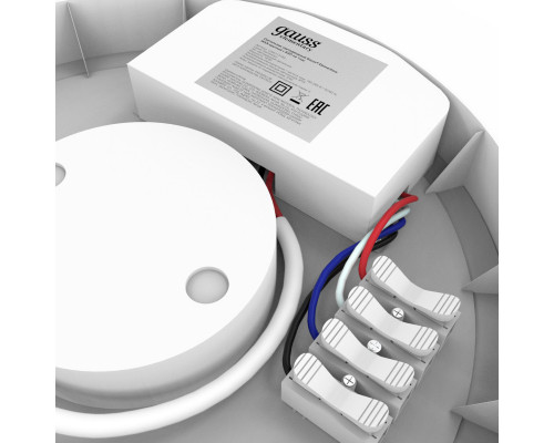 Оформить заказ Пылевлагозащищенный светильник Gauss 126411318A| VIVID-LIGHT.RU