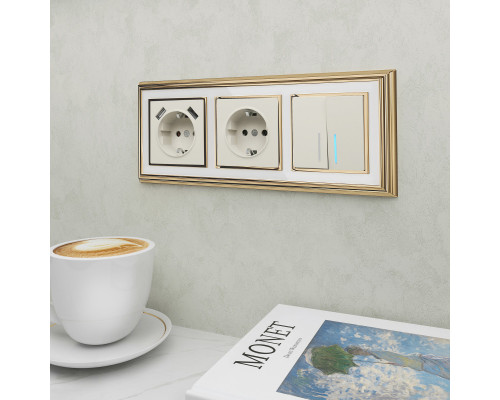 Оформить заказ Рамка Werkel W0031329| VIVID-LIGHT.RU