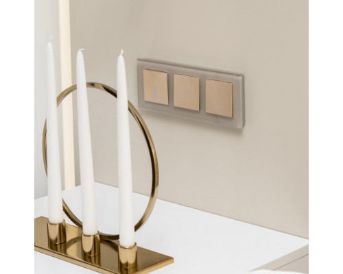 Купить Рамка Werkel W0031117| VIVID-LIGHT.RU