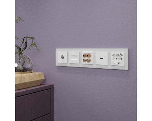 Купить Рамка Werkel W0051105| VIVID-LIGHT.RU