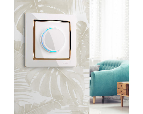 Купить Рамка Werkel W0011933| VIVID-LIGHT.RU