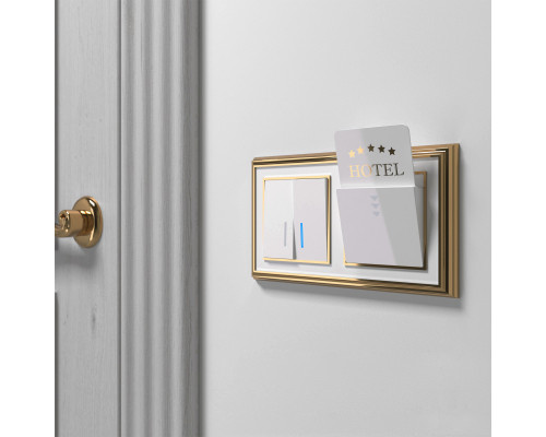 Сделать заказ Рамка Werkel W0021329| VIVID-LIGHT.RU