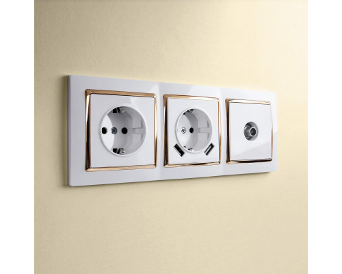 Купить Рамка Werkel W0031933| VIVID-LIGHT.RU