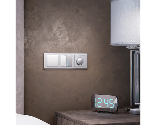 Купить Рамка Werkel W0032106| VIVID-LIGHT.RU