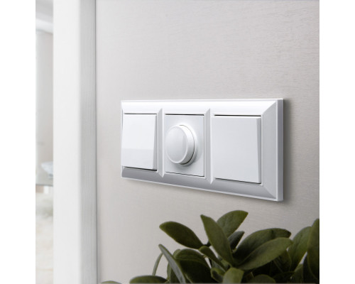 Оформить заказ Рамка Werkel W0032201| VIVID-LIGHT.RU