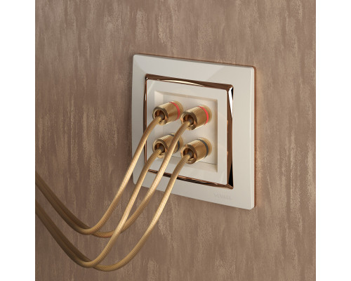 Купить Рамка Werkel W0011932| VIVID-LIGHT.RU