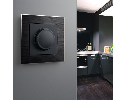 Сделать заказ Рамка Werkel W0011708| VIVID-LIGHT.RU