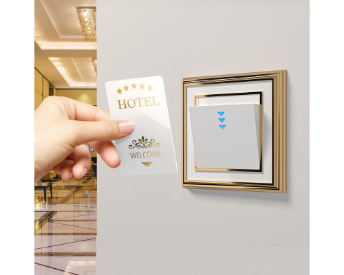 Купить Рамка Werkel W0011329| VIVID-LIGHT.RU