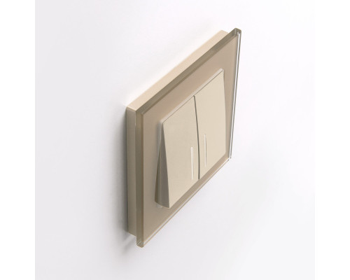 Заказать Рамка Werkel W0011111| VIVID-LIGHT.RU