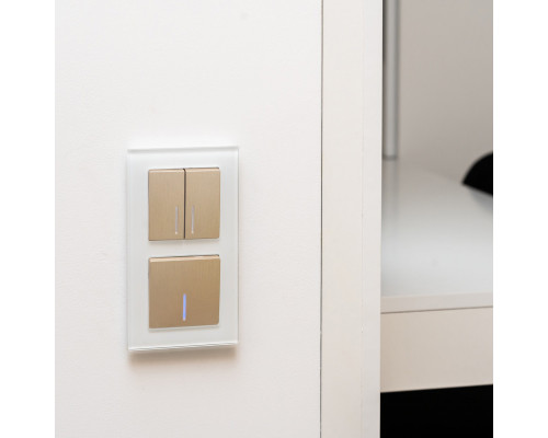 Заказать Рамка Werkel W0021101| VIVID-LIGHT.RU