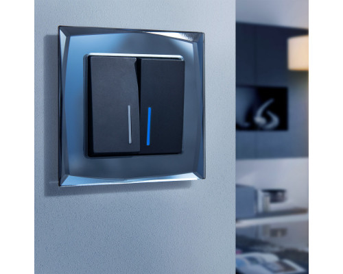 Сделать заказ Рамка Werkel W0011208| VIVID-LIGHT.RU