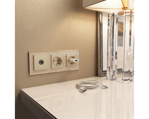 Оформить заказ Рамка Werkel W0031111| VIVID-LIGHT.RU