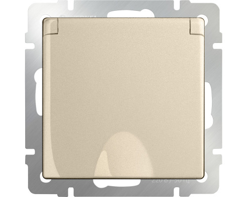 Купить Розетка Werkel W1171211| VIVID-LIGHT.RU