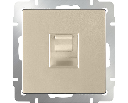 Сделать заказ Розетка Werkel W1181011| VIVID-LIGHT.RU