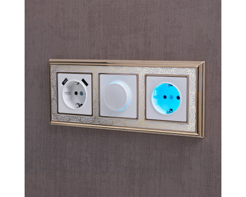 Сделать заказ Розетка Werkel W1171501| VIVID-LIGHT.RU