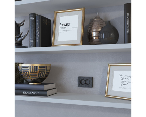 Сделать заказ Розетка Werkel W1272008| VIVID-LIGHT.RU