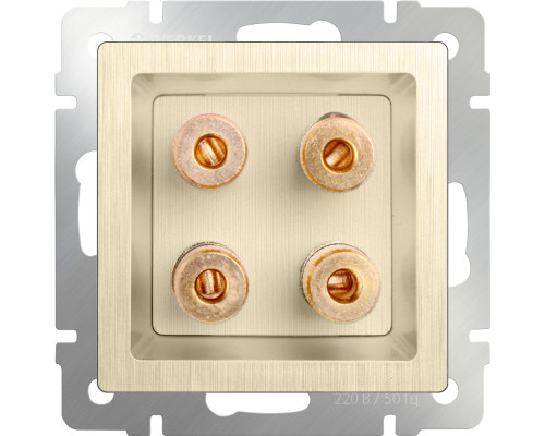 Заказать Розетка Werkel WL10-AUDIOx4 (шампань рифленый)| VIVID-LIGHT.RU