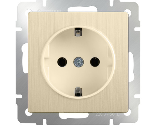 Купить Розетка Werkel WL10-SKG-01-IP20 (шампань рифленый)| VIVID-LIGHT.RU