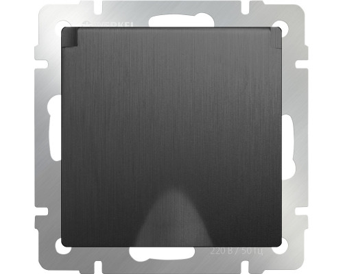 Сделать заказ Розетка Werkel W1171204| VIVID-LIGHT.RU