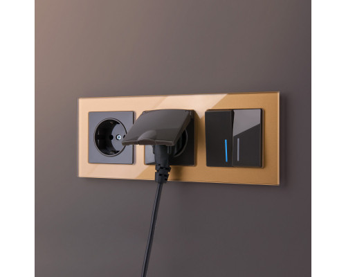 Заказать Розетка Werkel W1171207| VIVID-LIGHT.RU