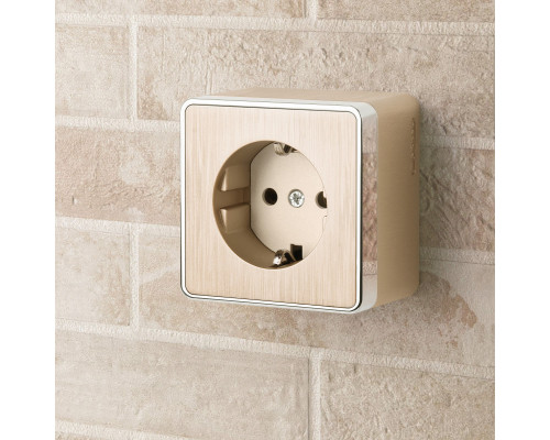 Оформить заказ Розетка Werkel W5071010| VIVID-LIGHT.RU