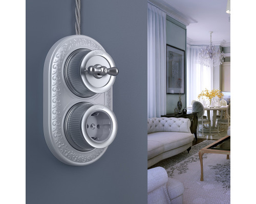 Сделать заказ Розетка Werkel WL19-10-02 (Матовый хром)| VIVID-LIGHT.RU