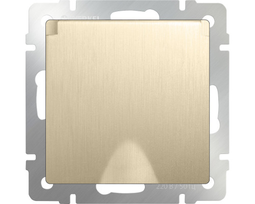 Купить Розетка Werkel WL10-SKGSC-01-IP44 (шампань рифленый)| VIVID-LIGHT.RU