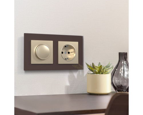 Купить Розетка Werkel W1171111| VIVID-LIGHT.RU