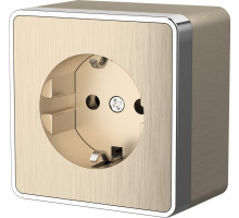 Розетка Werkel WL15-02-01 (шампань рифленый)