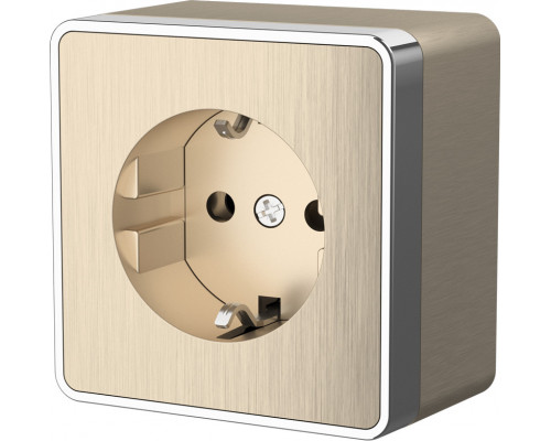 Оформить заказ Розетка Werkel WL15-02-01 (шампань рифленый)| VIVID-LIGHT.RU