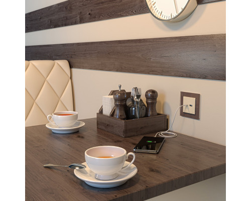 Оформить заказ Розетка Werkel W1171803| VIVID-LIGHT.RU