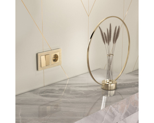 Сделать заказ Розетка Werkel W1171011| VIVID-LIGHT.RU