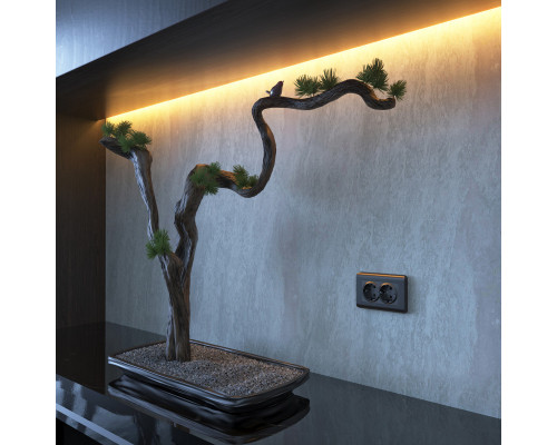 Оформить заказ Розетка Werkel W1172004| VIVID-LIGHT.RU