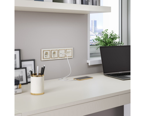 Оформить заказ Розетка Werkel W1171803| VIVID-LIGHT.RU