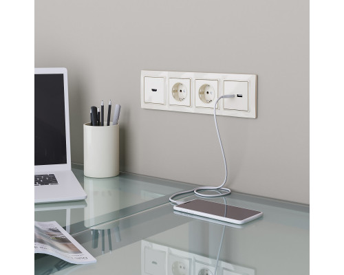 Оформить заказ Розетка Werkel W1171803| VIVID-LIGHT.RU