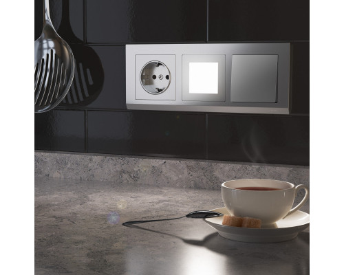 Сделать заказ Розетка Werkel W1171106| VIVID-LIGHT.RU