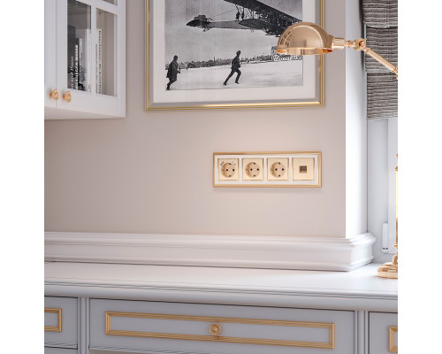 Оформить заказ Розетка Werkel W1171110| VIVID-LIGHT.RU