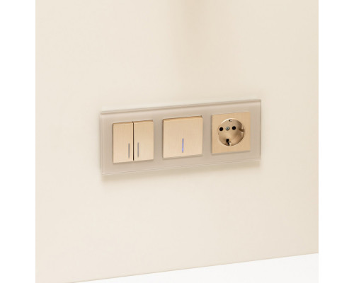 Оформить заказ Розетка Werkel W1171110| VIVID-LIGHT.RU