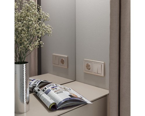 Оформить заказ Розетка Werkel W1171110| VIVID-LIGHT.RU