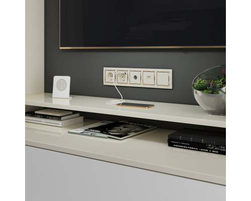 Купить Розетка Werkel W1181003| VIVID-LIGHT.RU