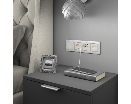 Купить Розетка Werkel W1171113| VIVID-LIGHT.RU