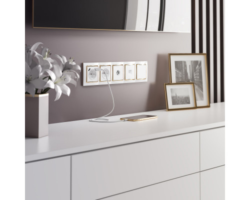 Сделать заказ Розетка Werkel W1181001| VIVID-LIGHT.RU