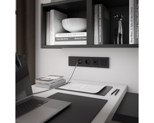 Сделать заказ Розетка Werkel W1182008| VIVID-LIGHT.RU