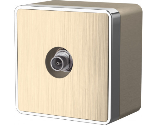 Заказать Розетка Werkel WL15-21-01 (шампань рифленый)| VIVID-LIGHT.RU