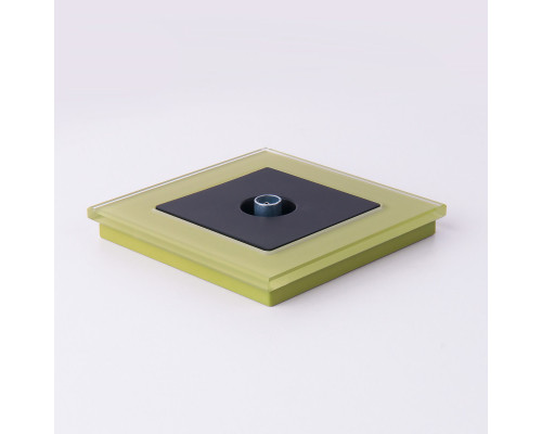 Заказать Розетка Werkel W1183008| VIVID-LIGHT.RU