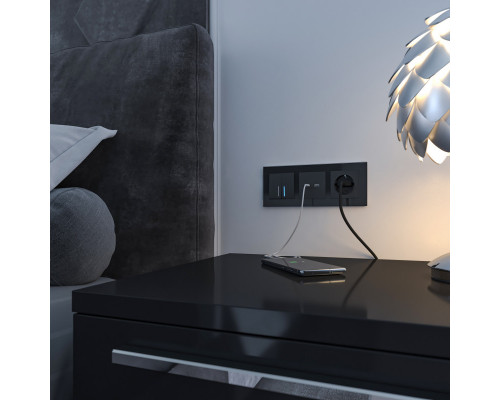 Оформить заказ Розетка Werkel W1171808| VIVID-LIGHT.RU