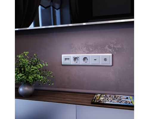 Заказать Розетка Werkel W1183006| VIVID-LIGHT.RU