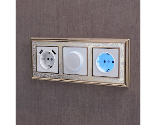 Оформить заказ Розетка Werkel W1171401| VIVID-LIGHT.RU