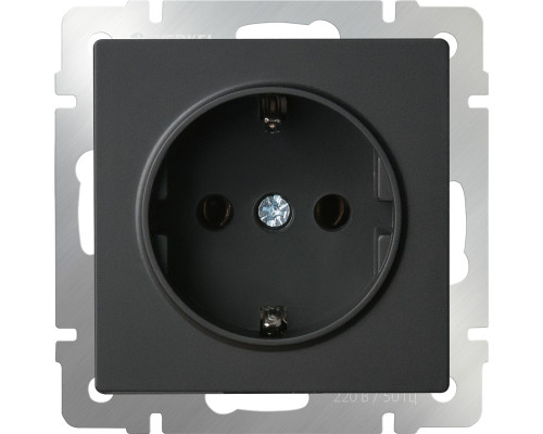 Сделать заказ Розетка Werkel W1171108| VIVID-LIGHT.RU